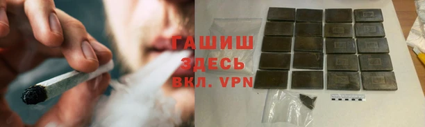 гашик Алексеевка