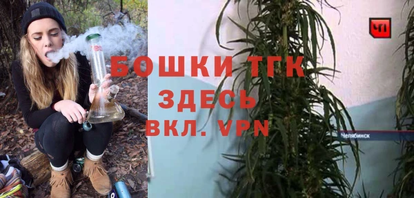 гашик Алексеевка
