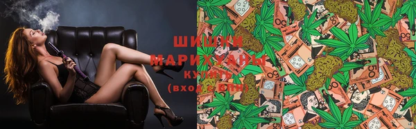 гашик Алексеевка