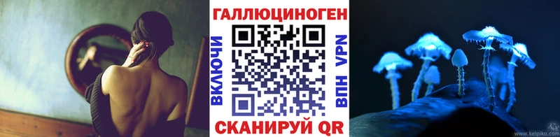 закладка  Ардатов  Галлюциногенные грибы Cubensis 